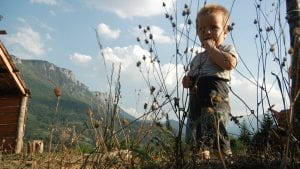 Kid in a field with his hand in his mouth behind some grass
